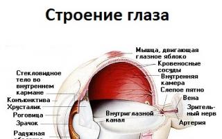 Budova oka の人々の写真と説明