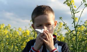 Проведення шкірних тестів на алергени