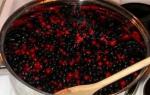 Black currant jam - recipe, calorie content, barkiness and harm Black currants, grated with cucumber