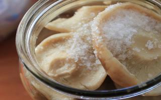 How to salt milk mushrooms: basic methods of preparation