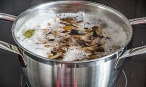 Грибний суп із заморожених білих грибів Готуємо суп із заморожених печериць рецепти