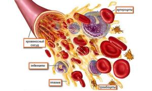 Склад та функції плазми крові, про що говорять відхилення показників?